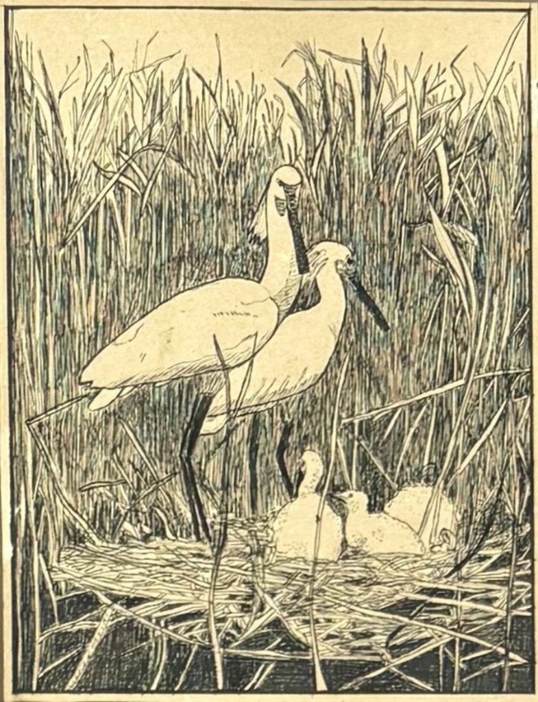 327. Houtsneden–lepelaars en zwarte vogels, Japan, 20e eeuw, Ophalen