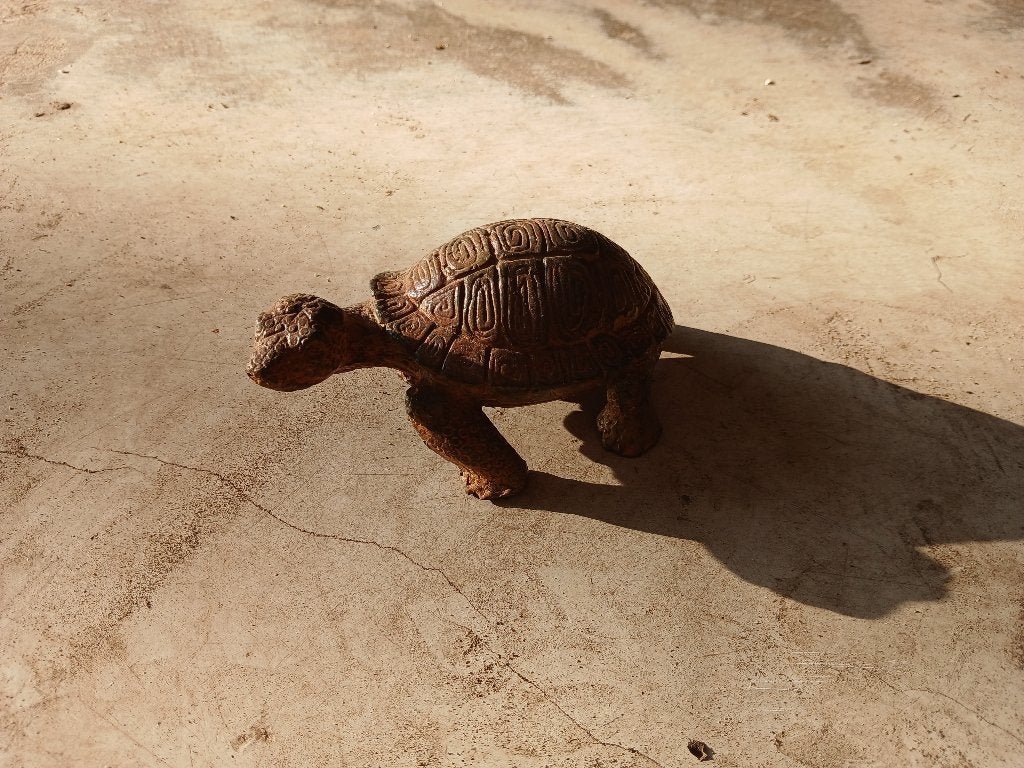 Schildpad P.Chenet, Minder dan 20 cm, Verzenden, Brons, Zeeleven