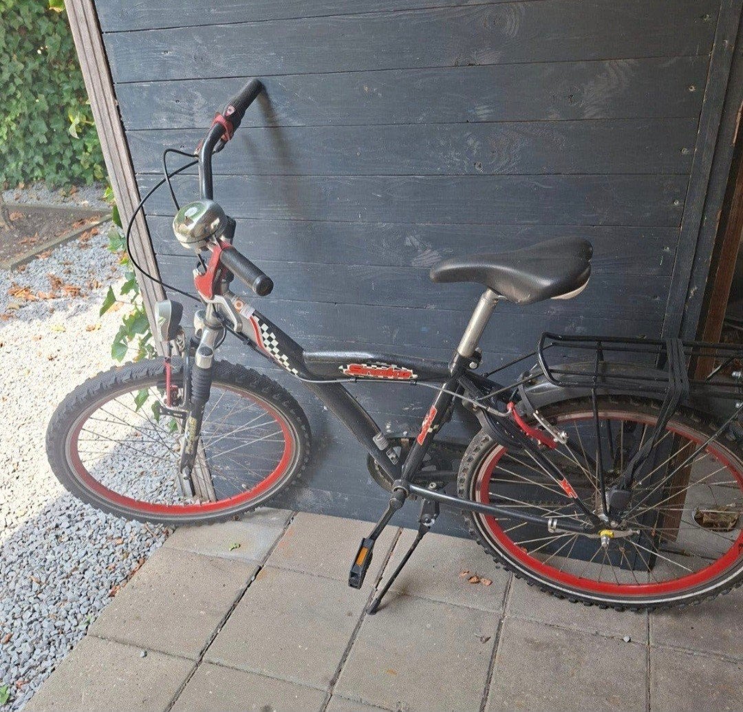batavus sneake 24 inch, Ophalen, Gebruikt, 24 inch, Batavus Snake
