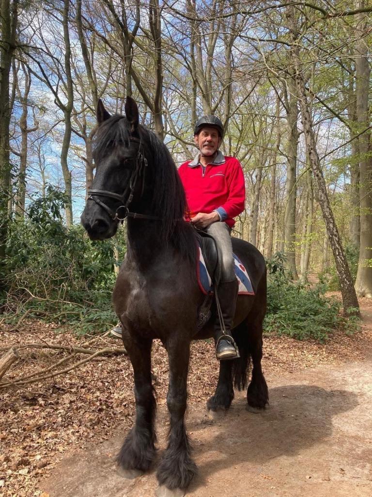 te lease: Hendrik, Diensten en Vakmensen, Dieren | Paarden | Verzorging, Oppas en Les, Verzorging of Verzorgpony's