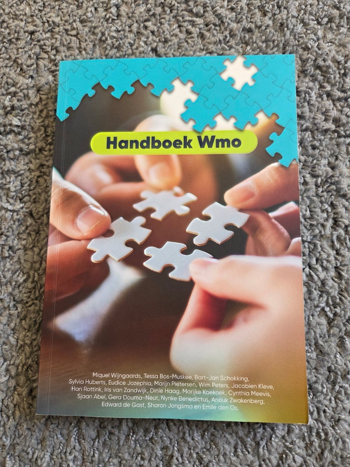Handboek Wmo - Essentiële gids voor sociaal domein, Gelezen, Gamma, Miquel Wijngaards, Tessa Bos-Muskee, Bart-Jan Schokking e.a.