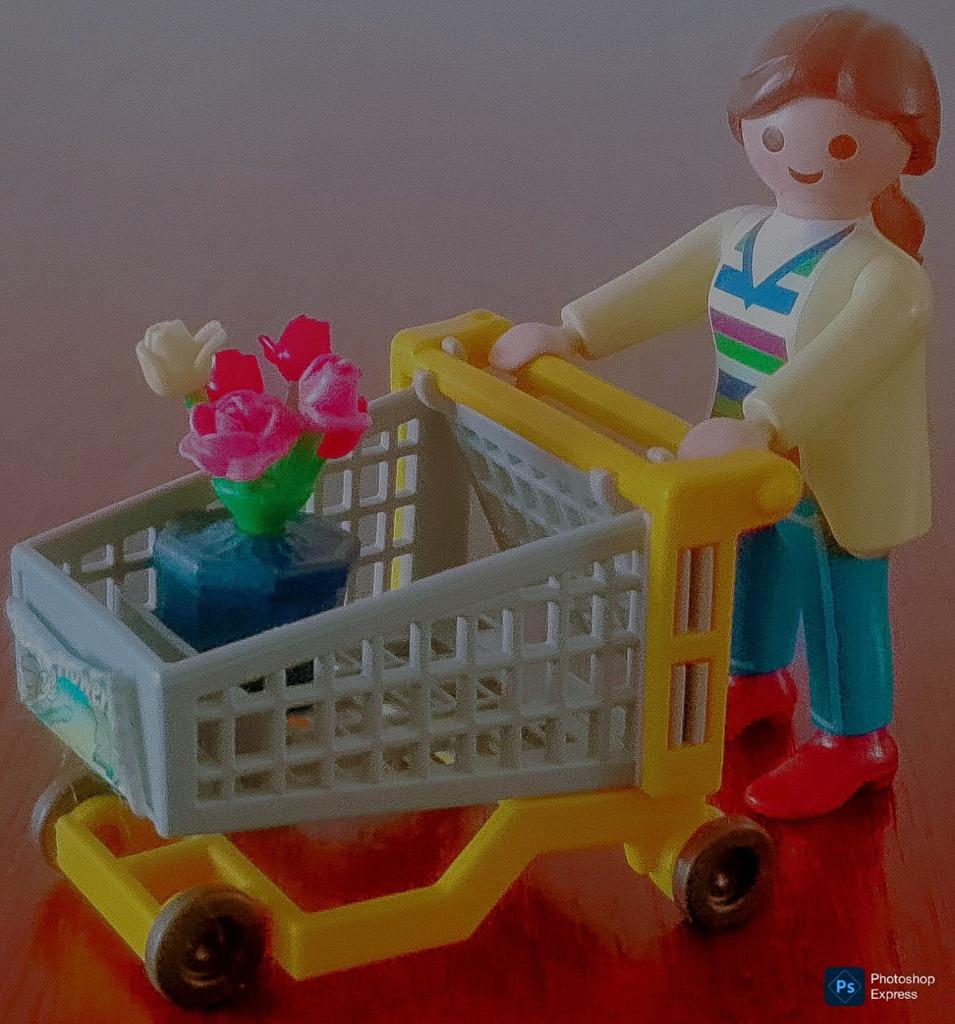 Vrouw Met Tuincentrumwinkelwagen Met Een Pot Bloemtjes, Ophalen of Verzenden, Gebruikt, Complete set