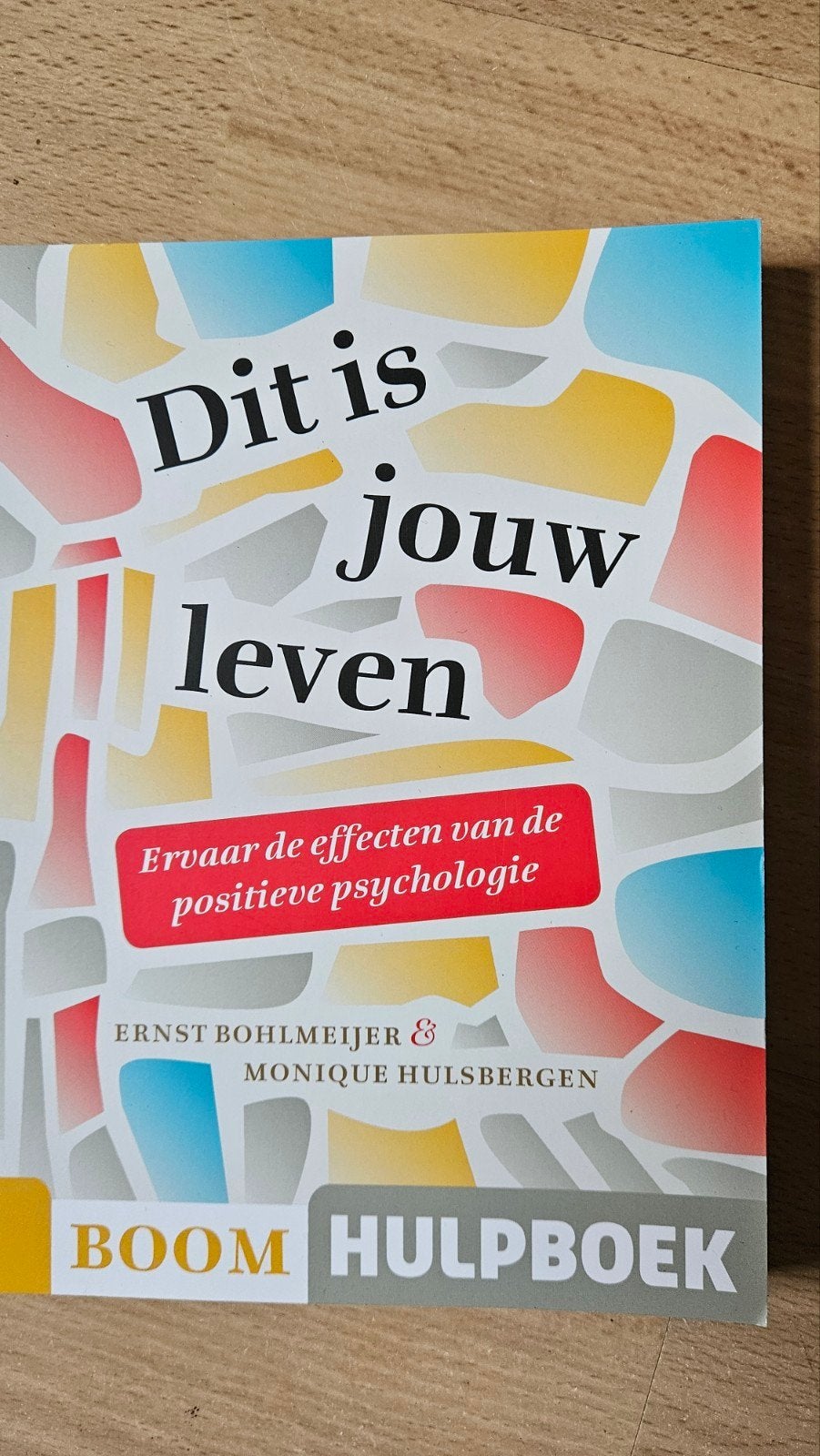 Ernst Bohlmeijer - Dit is jouw leven, Sociale psychologie, Ophalen of Verzenden, Zo goed als nieuw, Ernst Bohlmeijer; Monique Hulsbergen