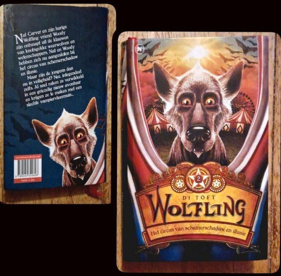NIEUW🔥【★★★★★】Boek║10-12j〔DI TOFT〕Het circus v schemerschadu, Boeken, Ophalen of Verzenden, Nieuw, Di Toft, Fictie