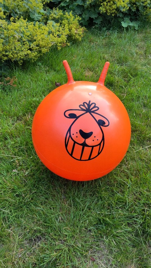 leuke oranje skippybal, vrijwel niet gebruikt, Kinderen en Baby's, Speelgoed | Buiten | Los speelgoed, Ophalen, Zo goed als nieuw