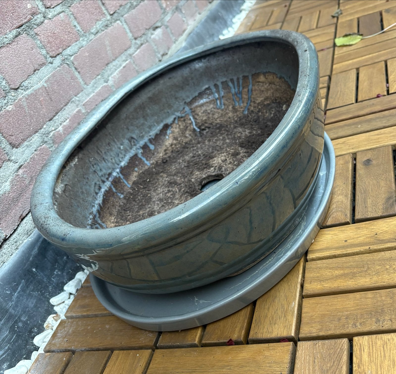 Bonsai pot met schotel - goede staat, Steen, Gebruikt, Ophalen of Verzenden, Binnen