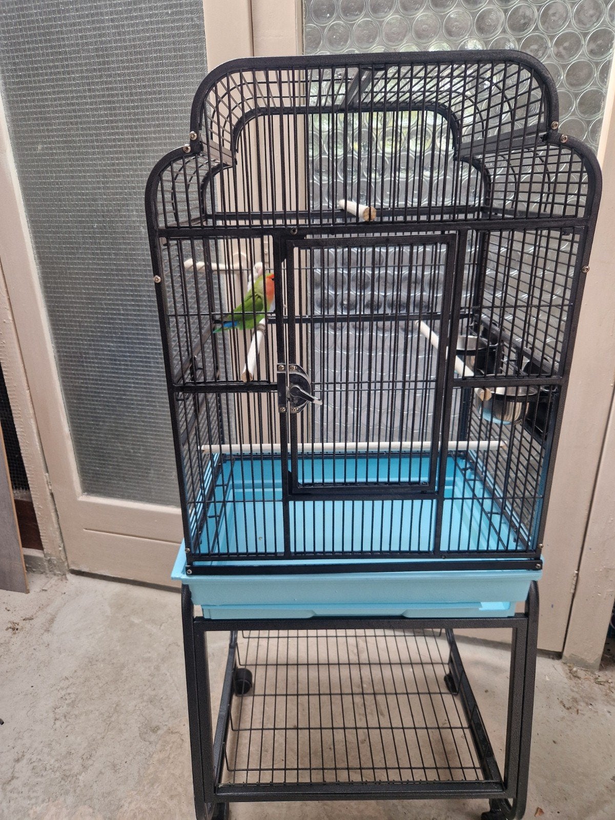 Vogelkooi kooi groot volière agapornissen vogel kooi, Ophalen of Verzenden, Zo goed als nieuw, Metaal, Volière
