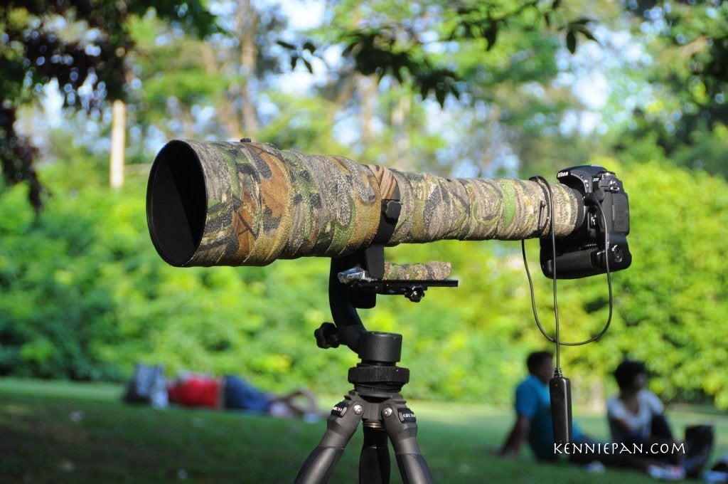 SIGMA 300 -- 800    NIKON, Ophalen, Sigma, Beschermhoes/tas, Telelens