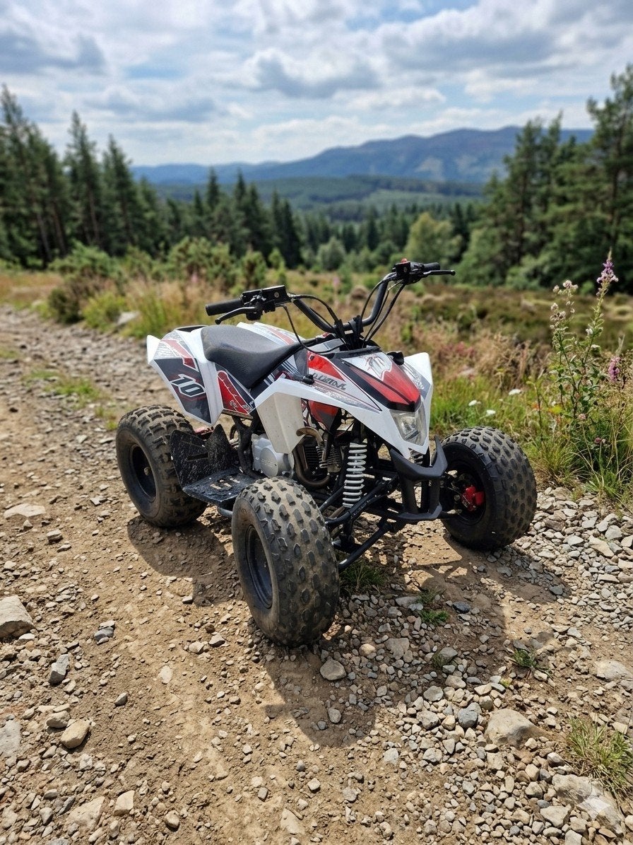 LEM 125cc qaud Kanon!!, Ophalen of Verzenden