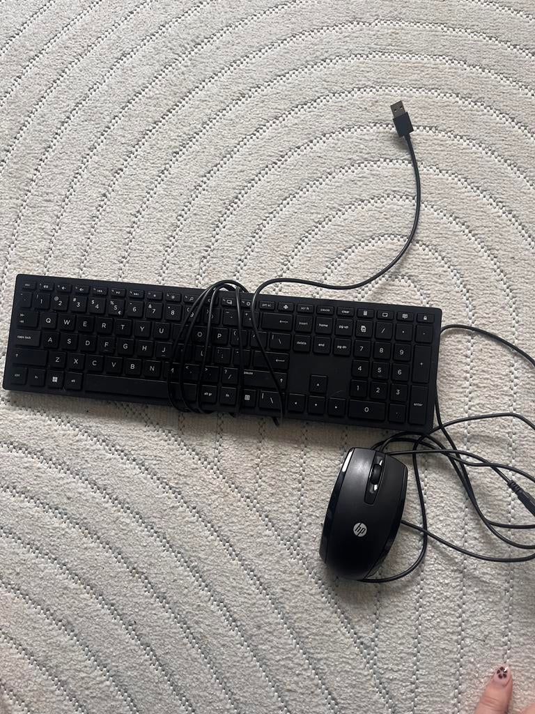 Hp toetsenbord en muis., Computers en Software, Toetsenborden, Ophalen, Zo goed als nieuw