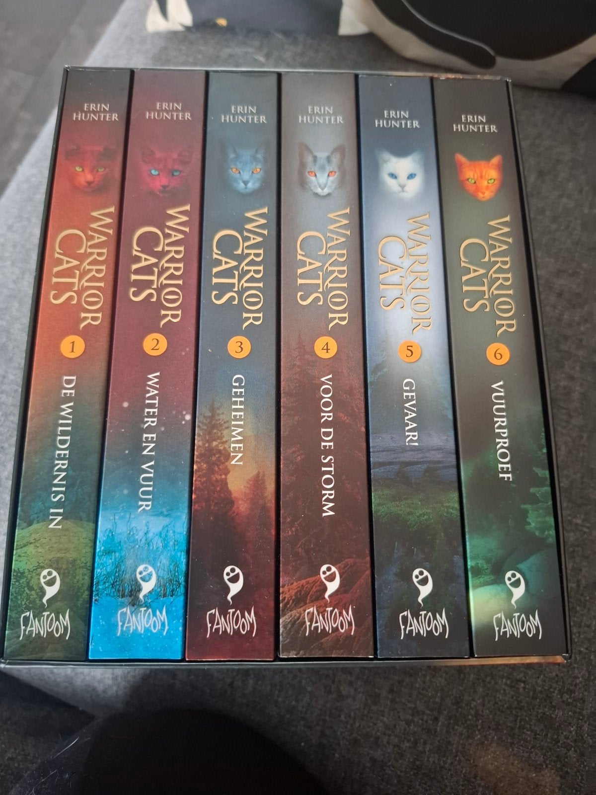 Warrior Cats Boxset 1-6 - Erin Hunter, Ophalen of Verzenden, Zo goed als nieuw, Erin Hunter, Nederland