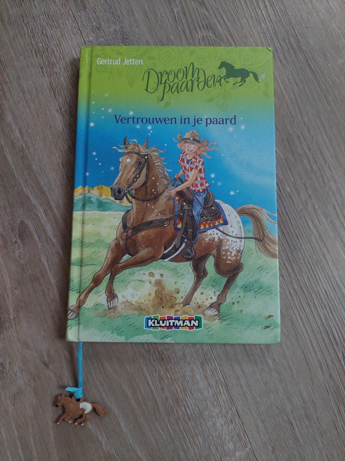 Vertrouwen in je paard-Gertrud Jetten, Ophalen of Verzenden, Zo goed als nieuw, Gertrud Jetten, Non-fictie