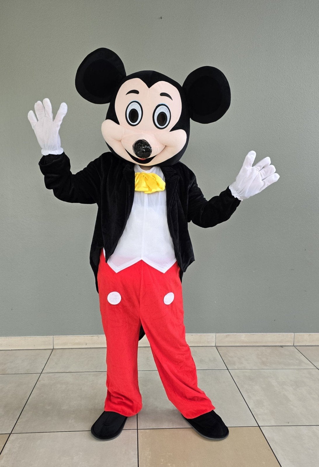 Mickey Mouse te huur met en zonder acteur / kinderfeestje, Hobby en Vrije tijd, Feestartikelen | Verhuur, Ophalen of Verzenden