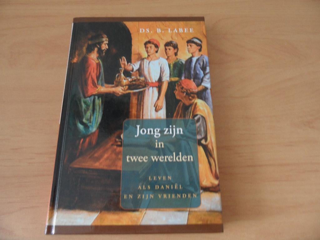 Jong zijn in twee werelden- Ds B Labee, Boeken, Godsdienst en Theologie, Zo goed als nieuw, Christendom | Protestants, Ophalen of Verzenden