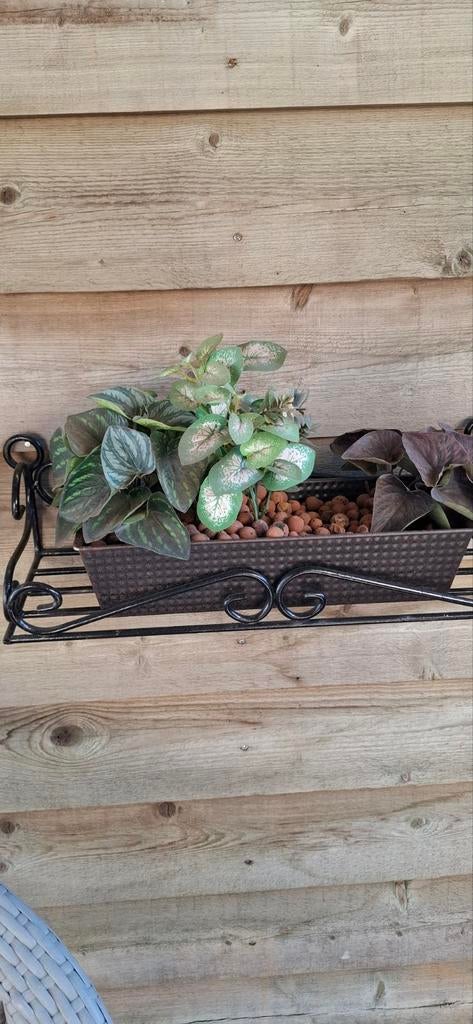 2  bloembakjes(bakblikken). met planten voor wandmontage, Ophalen, Gebruikt, Minder dan 30 cm, Metaal