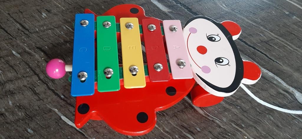 Houten xylofoon lieveheersbeest nieuw,tamboerijn,sambaballen, Ophalen of Verzenden, Nieuw, Overige typen