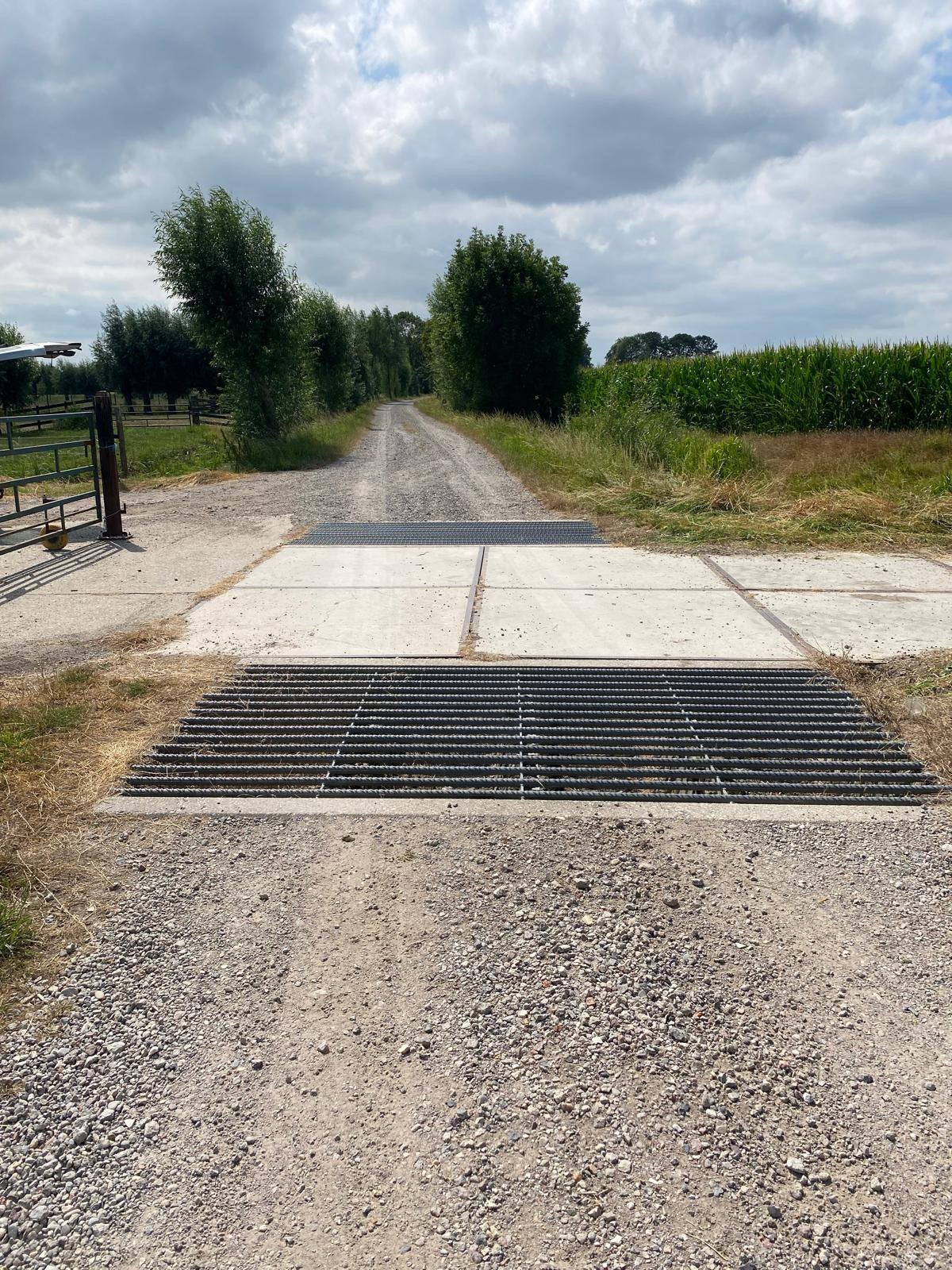 Vee/wild roosters, Dieren en Toebehoren, Stalling en Weidegang, Weidegang