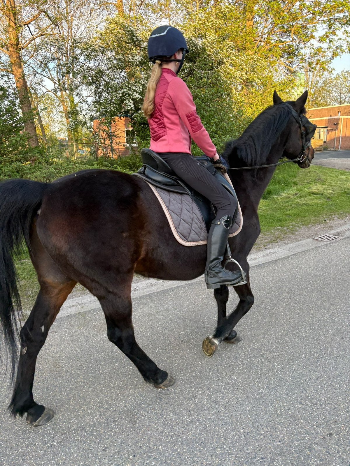 bijrijd paard gezocht (zie beschrijving), Overige merken, Ophalen of Verzenden, Zo goed als nieuw, Overige typen