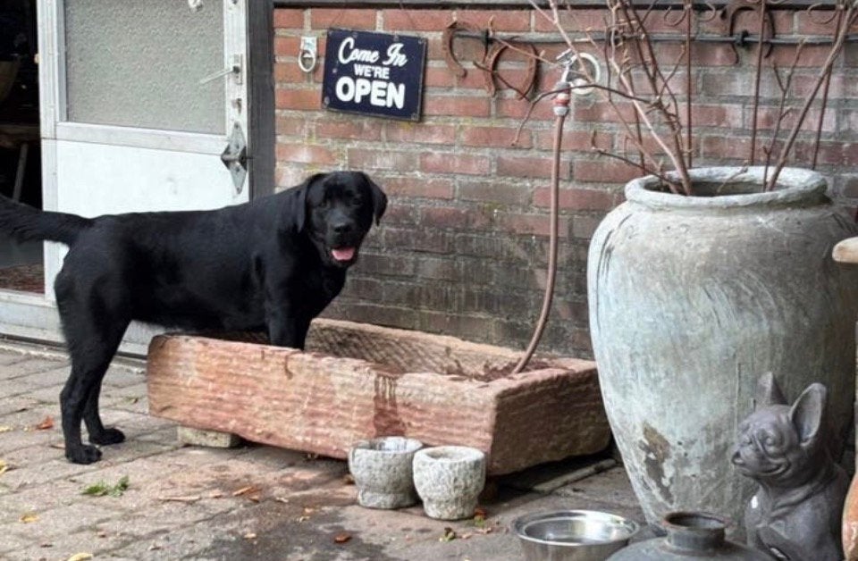 Oude grote hardstenen trog - AANBIEDING!, Tuin en Terras, Ophalen, Gebruikt, Hardsteen, Overige typen