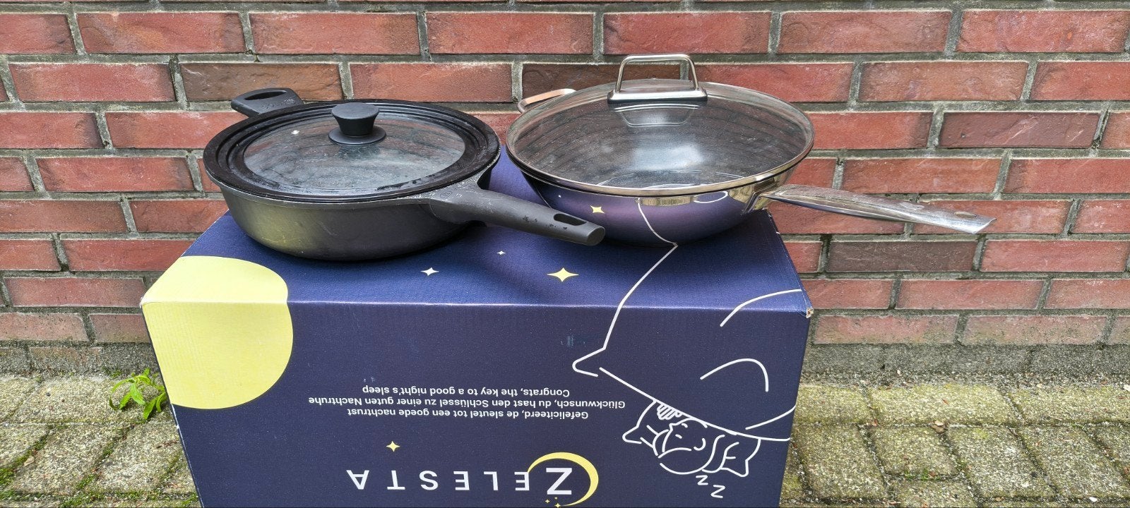 Sola hapjespan en een wokpan beide met deksel, Ophalen of Verzenden, Gebruikt, Overige materialen, Overige typen