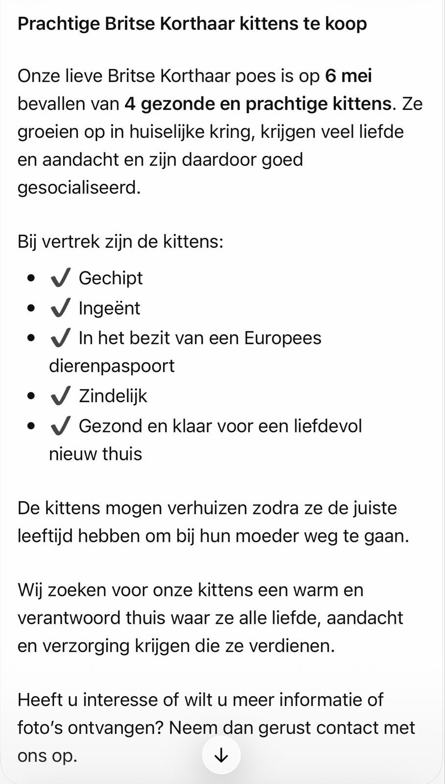 Britse kort haar kittens, Dieren en Toebehoren, Kortharig