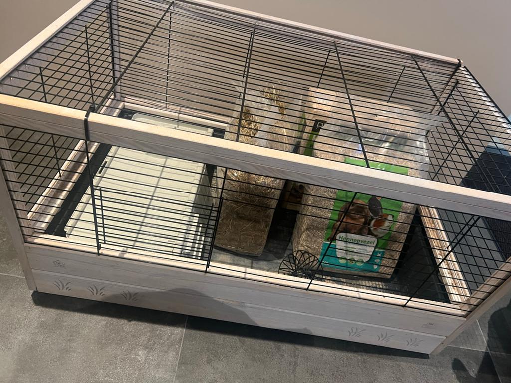 Knaagdieren kooi, Ophalen of Verzenden, Kooi, Minder dan 60 cm