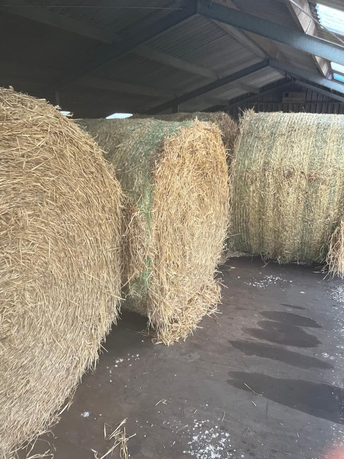 Grote ronde balen gerste stro - 160 cm doorsnede, Dieren en Toebehoren, Ophalen of Verzenden