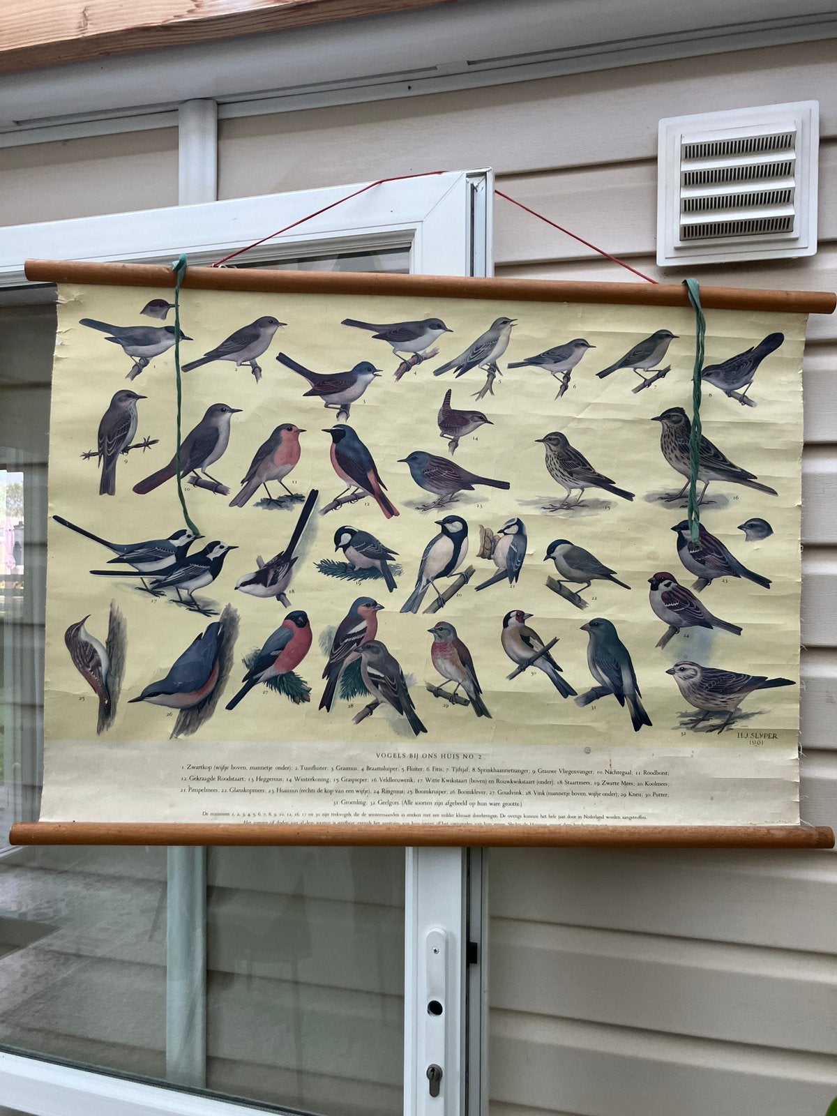 Plaat met vogels, Antiek en Kunst, Antiek | Schoolplaten, Ophalen of Verzenden, Natuur en Biologie