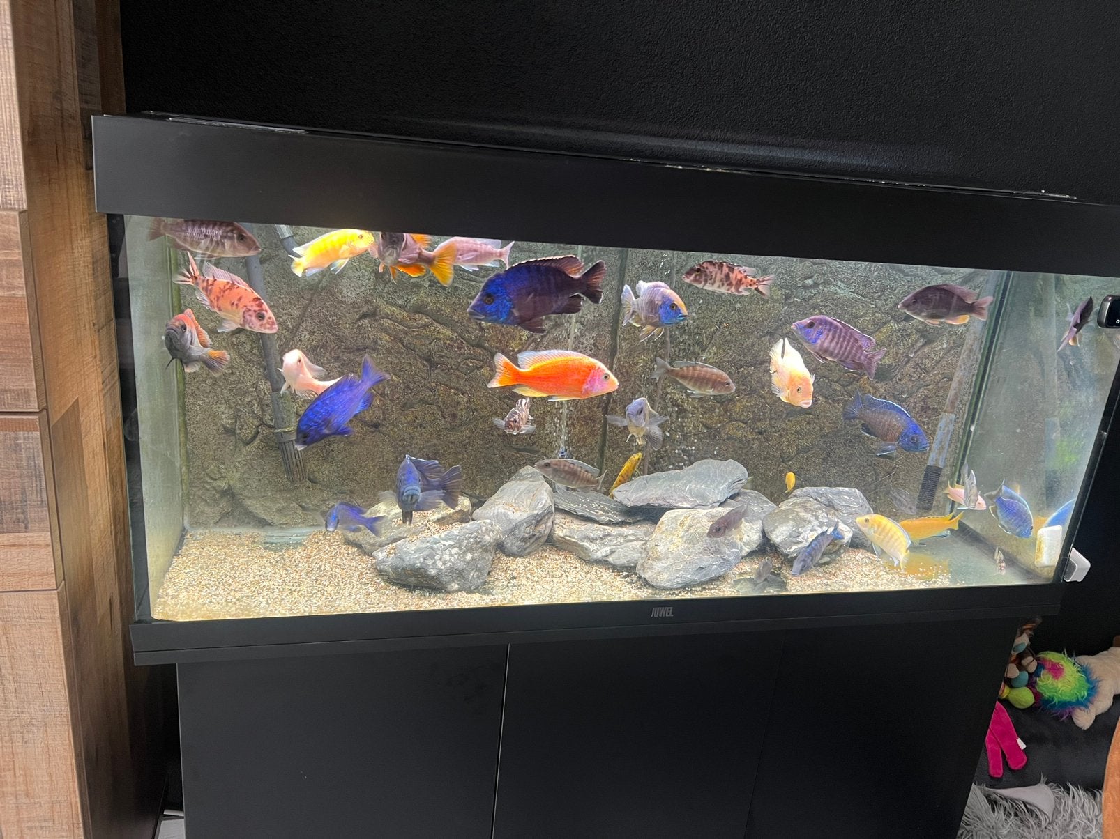 Aquarium van 240 liter met Eheim 4+, Ophalen, Zo goed als nieuw, Leeg aquarium