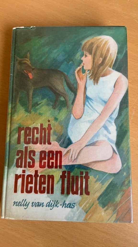 Recht als een rieten fluit - Nelly van Dijk-Has, Boeken, Romans, Ophalen of Verzenden, Zo goed als nieuw