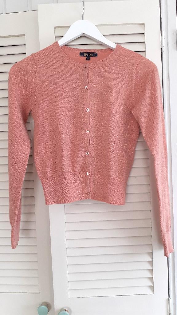 Zacht roze vestje - King Louie, Kleding | Dames, Truien en Vesten, Ophalen of Verzenden, Zo goed als nieuw, Maat 34 (XS) of kleiner