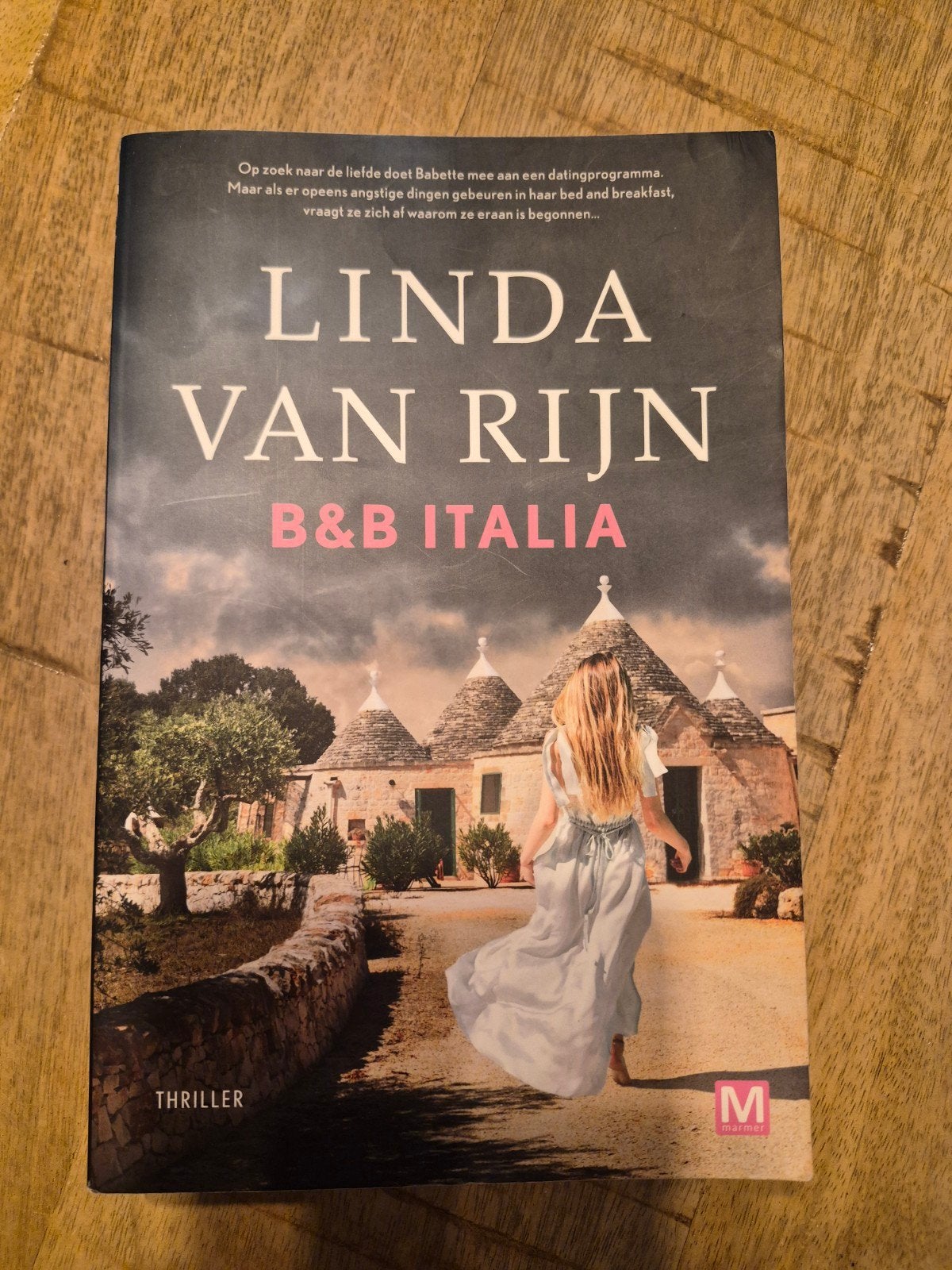 Linda van Rijn - B&B Italia, Linda van Rijn, Ophalen of Verzenden, Zo goed als nieuw, Nederland