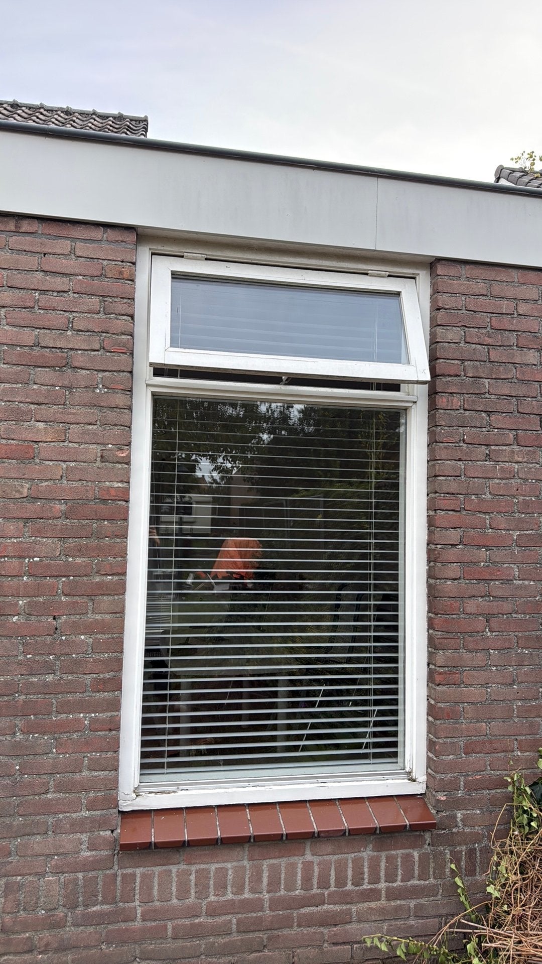 Kozijn met vastglas en klepraam, Doe-het-zelf en Verbouw, Ophalen, Gevelraam of Ruit, Gebruikt, 80 tot 120 cm