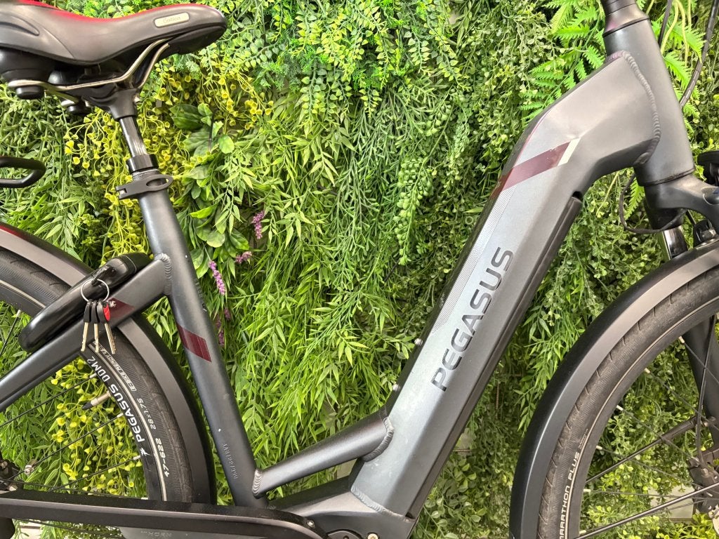 Pegasus Opero EVO 5 – 750Wh Di2 Automaat Belt Drive 50cm, Overige merken, Info@pegasus-bikes.de, Longericher Straße 2, 50739 Keulen (Duitsland)