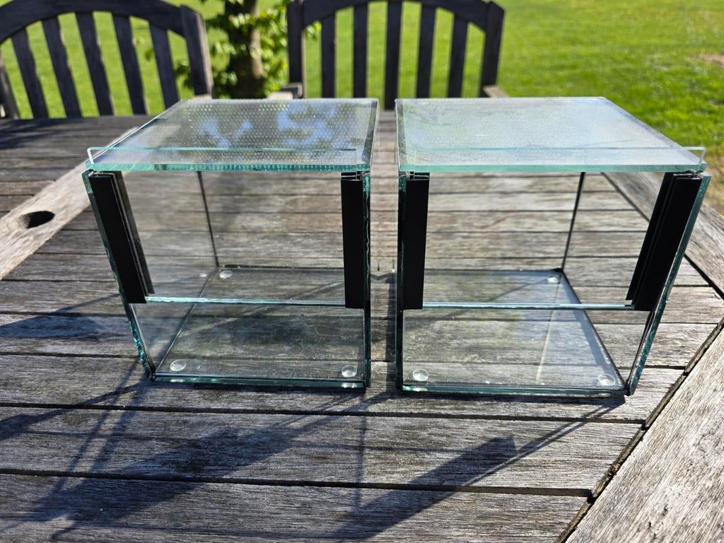 Twee mini terrariums, voor isopods, springspinnen etc, Dieren en Toebehoren, Overige soorten