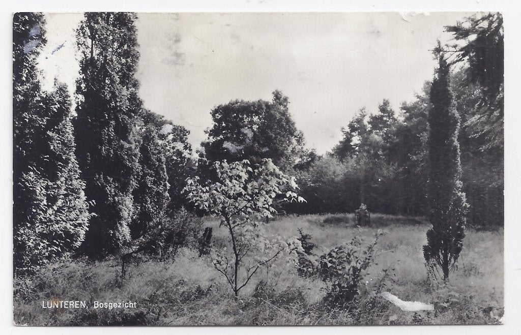 Lunteren De Tortelduif Gelopen ansichtkaart (B1310), Ophalen of Verzenden, 1960 tot 1980, Gelopen, Gelderland