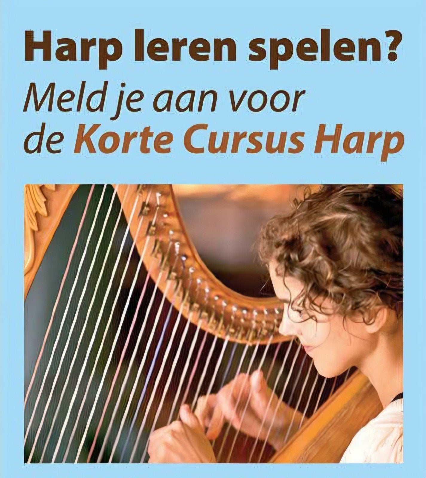 Harpspelen doe je zó!, Diensten en Vakmensen