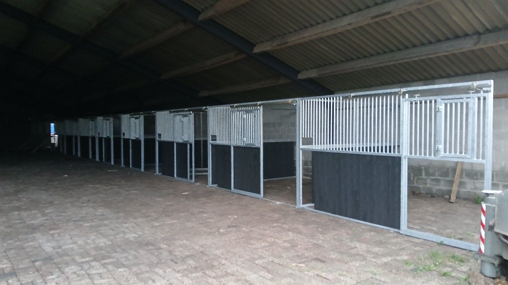 Paarden boxen te huur incl rijbak en paddock, Weidegang, 4 paarden of pony's of meer