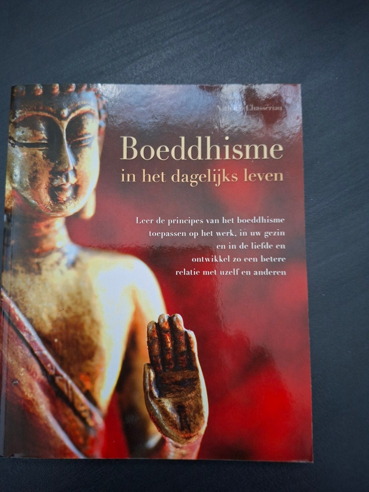 Boeddhisme in het dagelijks leven, Boeken, Ophalen of Verzenden, Spiritualiteit algemeen, Achtergrond en Informatie