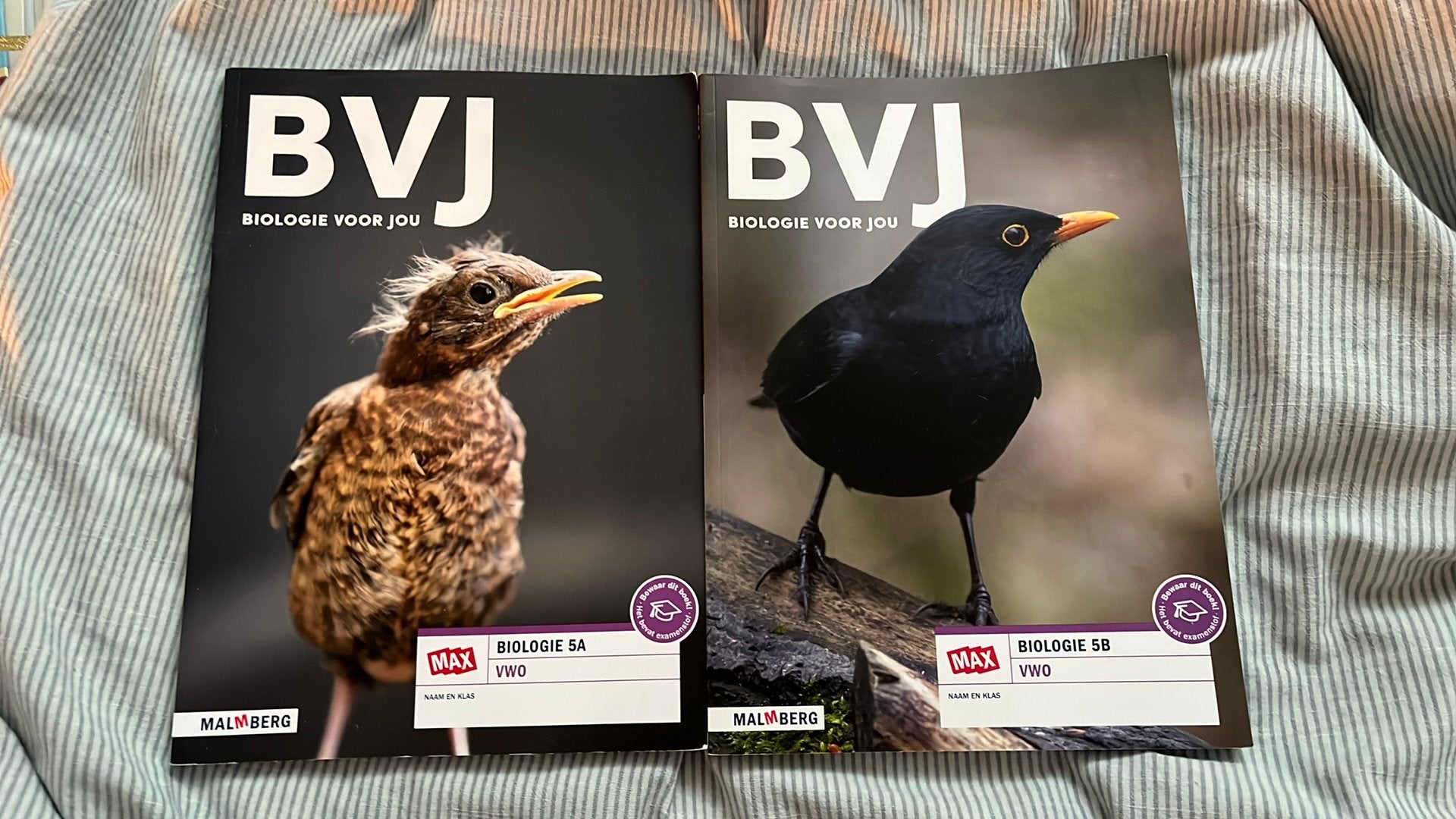 BVJ VWO5A/VWO5B 2025/2026, Ophalen of Verzenden, Zo goed als nieuw, VWO, Biologie