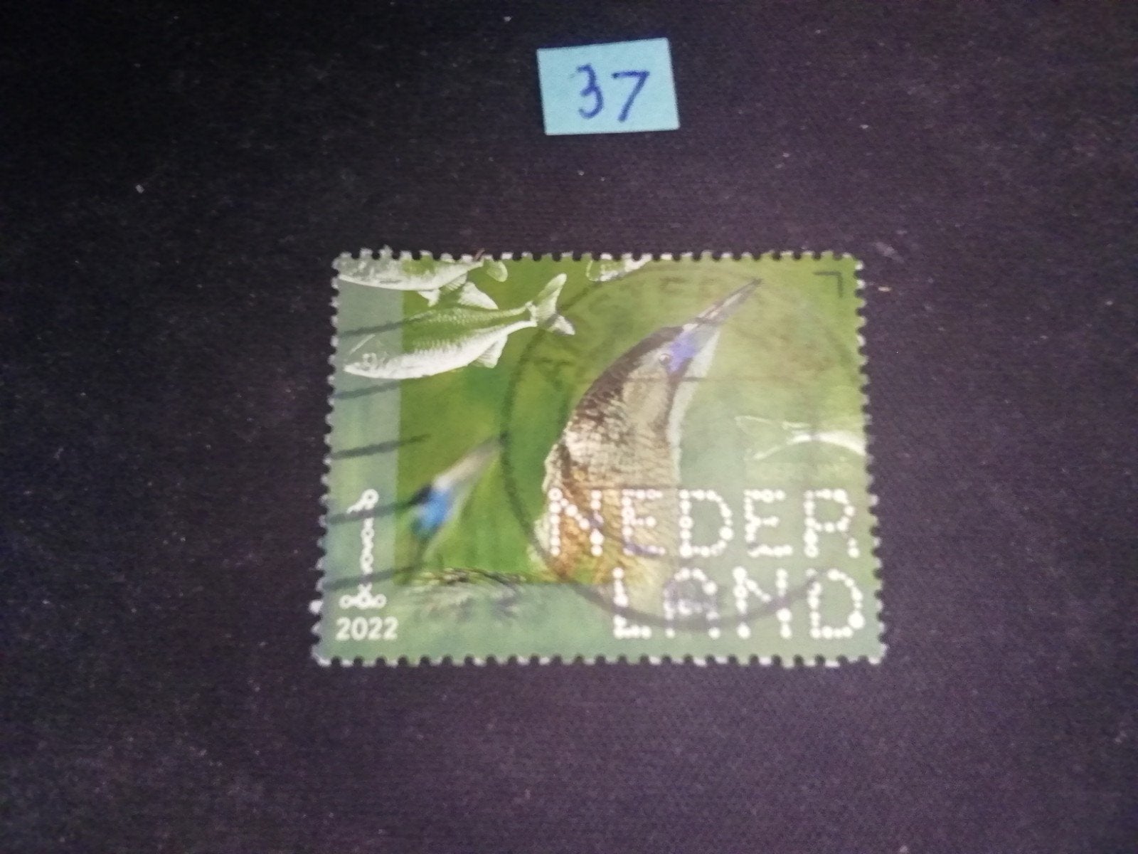 NEDERLAND NIEUWKOOPSE PLASSEN ROERDOMP GESTEMPELD, Ophalen of Verzenden, Na 1940, Gestempeld