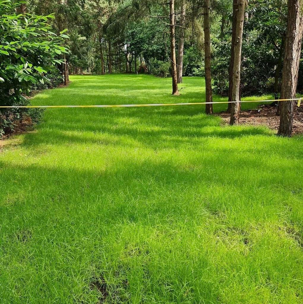 Kampeerplek midden in de natuur rust, ruimte en vrijheid, Ophalen, 20 m² of meer