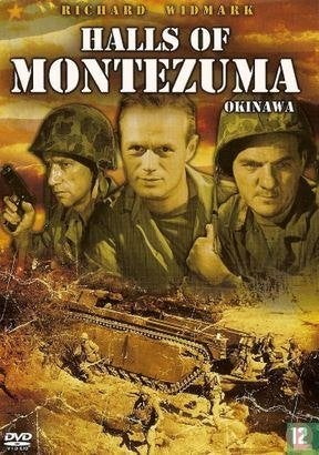halls of montezuma ( richard widmark , jack palance, Alle leeftijden, Ophalen of Verzenden, Zo goed als nieuw, Actie en Avontuur