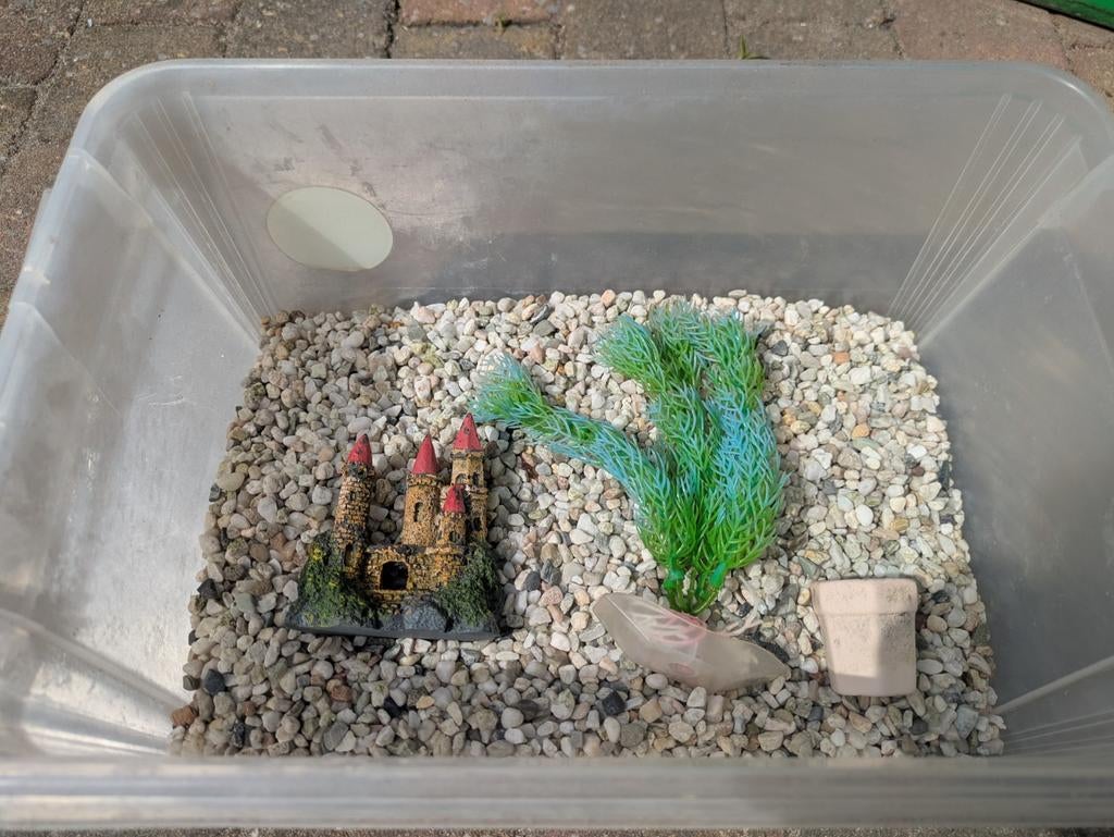 Steentjes en spulletjes voor een klein aquarium, Dieren en Toebehoren, Ophalen