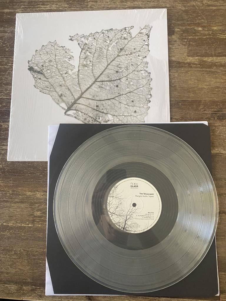 The Telescopes – Hungry Audio Tapes, Ophalen of Verzenden, Zo goed als nieuw, 12 inch, Alternative