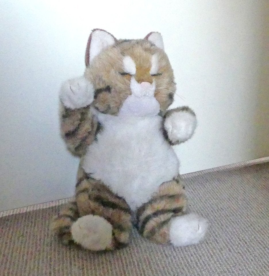 Poezenknuffel kat poes pluche knuffel cypers wit, Gebruikt, Ophalen of Verzenden, Beige, Kat
