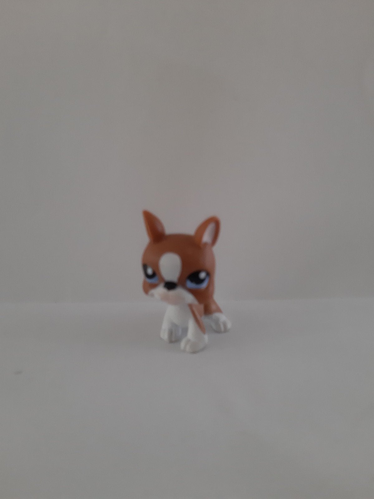 LPS boston terriër #1079, Ophalen of Verzenden, Zo goed als nieuw