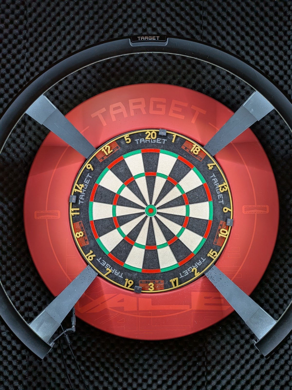 Target TOR + Surround, Ophalen, Gebruikt, Dartbord