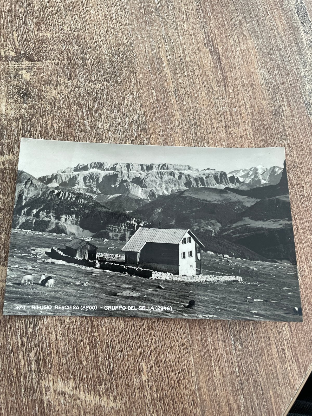 Oude ansichtkaart Rifugio Resciesa (2200) - Groppo del Sella, Ophalen of Verzenden, 1940 tot 1960, Gelopen, Italië
