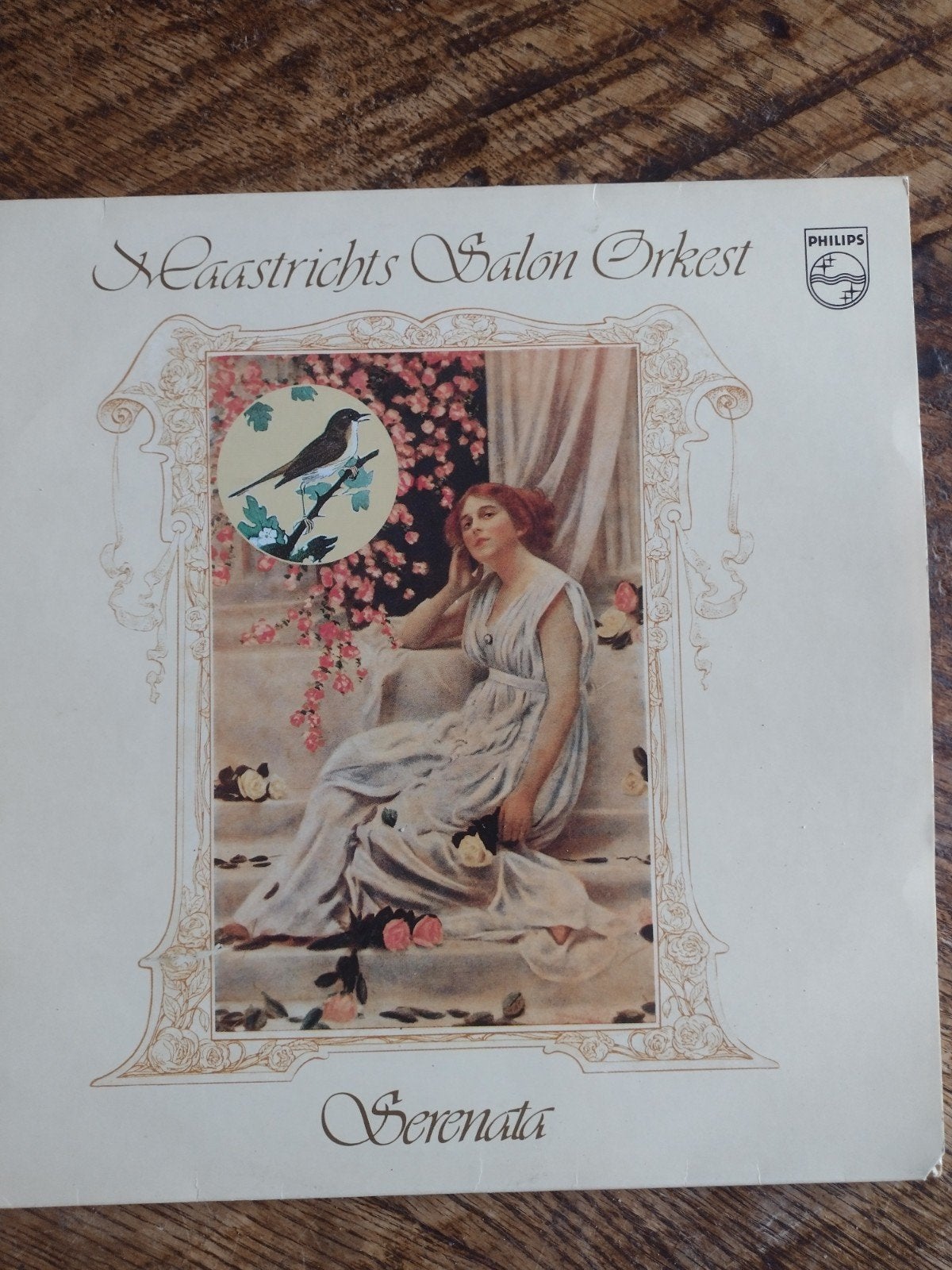 LP Maastrichts Salon Orkest o.l.v. André Rieu - Serenata, LP, Gebruikt, Ophalen of Verzenden, 12 inch